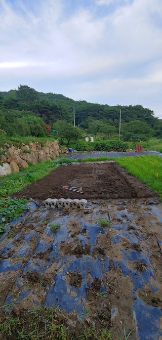 여행가자님의 팜모닝 · 출석 작성글 사진