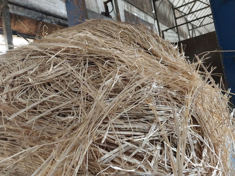 홀곡찬바람님의 장터 판매 상품 [볏집  외 라이그라스 🐄 풀.] 첨부 사진