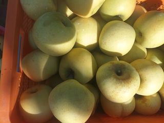 다나농원 이진우님의 우리지역 대표작물 자랑하기 · 참여글 작성글 사진