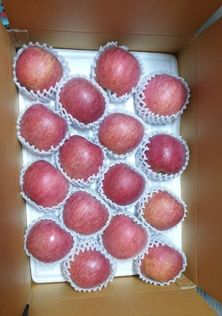 다나농원 이진우님의 우리지역 대표작물 자랑하기 · 참여글 작성글 사진