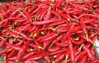 다나농원 이진우님의 우리지역 대표작물 자랑하기 · 참여글 작성글 사진