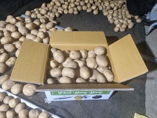 Sky님의 우리지역 대표작물 자랑하기 · 참여글 작성글 사진