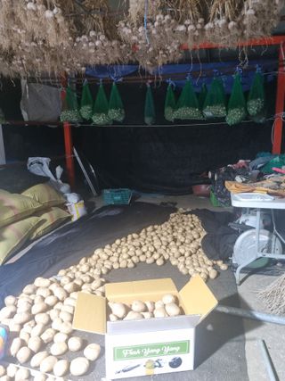 Sky님의 우리지역 대표작물 자랑하기 · 참여글 작성글 사진