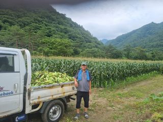 Sky님의 우리지역 대표작물 자랑하기 · 참여글 작성글 사진