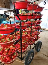 팜모닝 우리지역 대표작물 자랑하기·참여글 게시글 이미지