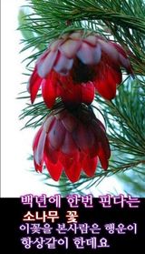 팜모닝 자유주제·자유게시판 게시글 이미지