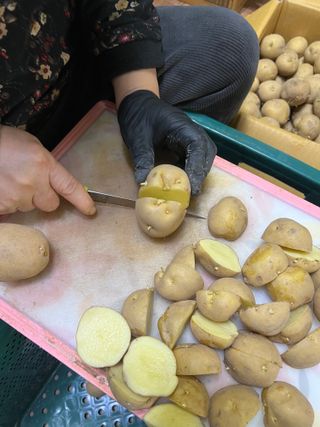 엘림농장님의 감자 · 자유게시판 작성글 사진