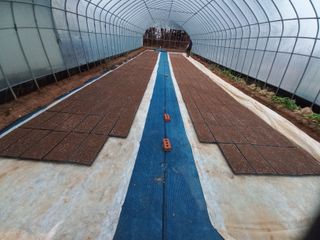 박린님의 파 · 자유게시판 작성글 사진