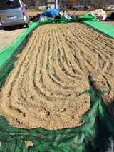 팜모닝 우리지역 대표작물 자랑하기·참여글 게시글 이미지