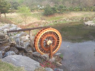 최성분님의 우리지역 대표작물 자랑하기 · 참여글 작성글 사진