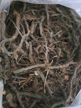 팜모닝 기타작물·자유게시판 게시글 이미지