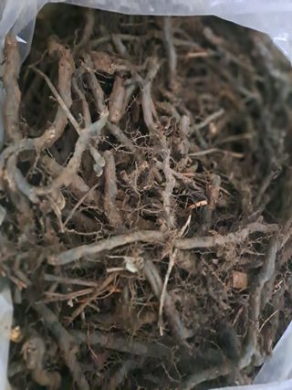 곽해영님의 기타작물 · 자유게시판 작성글 사진