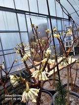 팜모닝 우리지역 대표작물 자랑하기·참여글 게시글 이미지