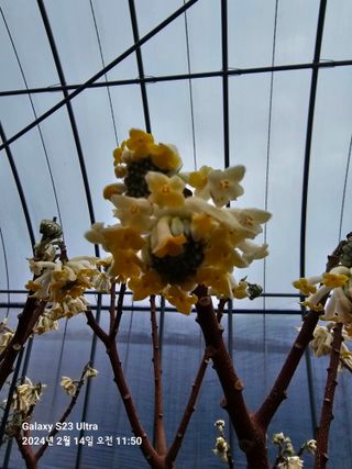 마로니에농원님의 우리지역 대표작물 자랑하기 · 참여글 작성글 사진