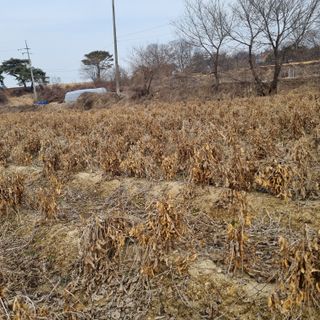 모두팜님의 우리지역 대표작물 자랑하기 · 참여글 작성글 사진