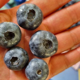 모두팜님의 우리지역 대표작물 자랑하기 · 참여글 작성글 사진