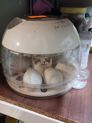 상민님의 자유주제 · 자유게시판 작성글 사진