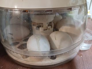 상민님의 자유주제 · 자유게시판 작성글 사진