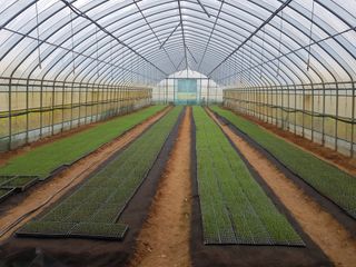 최종범님의 선도농가에 선정된 소감은? · 참여글 작성글 사진