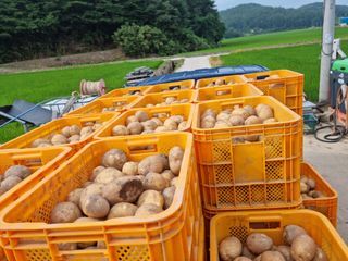 최종범님의 선도농가에 선정된 소감은? · 참여글 작성글 사진