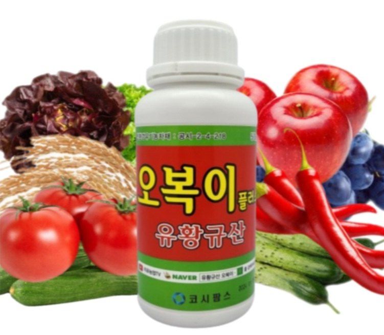 장터 상품 [[신제품]오복이플러스1L ] 썸네일