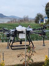 팜모닝 양파·영농일지 게시글 이미지