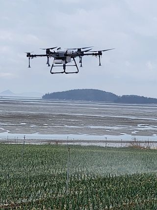 팜블리분매리농윈님의 양파 · 영농일지 작성글 사진