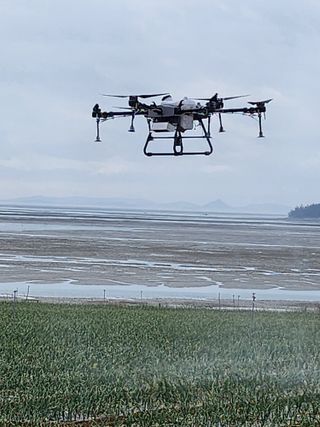 팜블리분매리농윈님의 양파 · 영농일지 작성글 사진