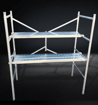 다이쏘(권자영)님의 작성글 사진