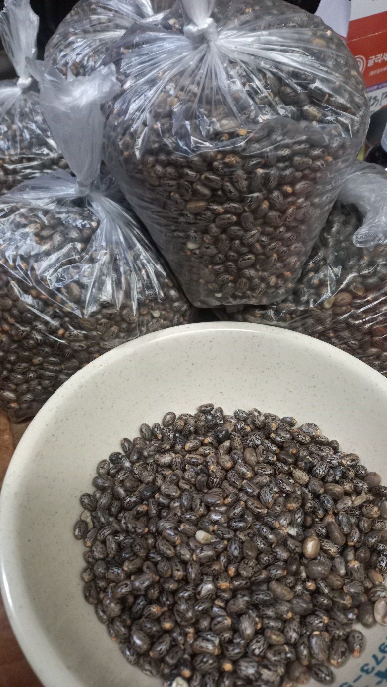 장터 상품 [피마자 씨앗1키로] 썸네일