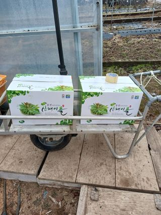 황덕순 님의 농사, 무엇이든 물어보세요! · 참여글 작성글 사진