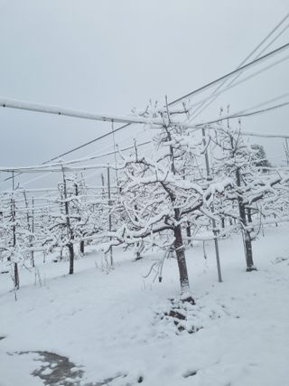 김현정님의 자유주제 · 자유게시판 작성글 사진