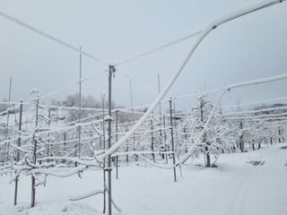 김현정님의 자유주제 · 자유게시판 작성글 사진