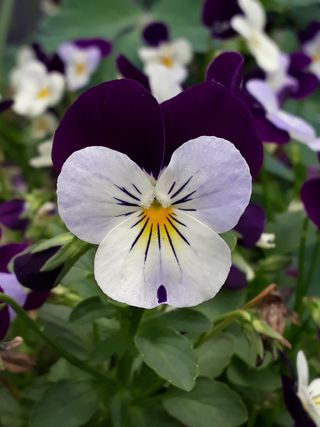 장첸님의 자유주제 · 자유게시판 작성글 사진