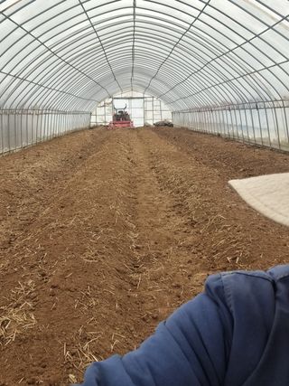 우희태님의 고추 · 파종•정식 작성글 사진