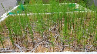 이창신님의 기타작물 · 자유게시판 작성글 사진