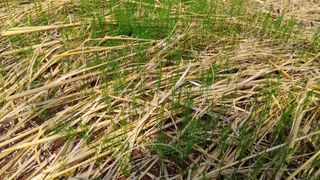 이창신님의 기타작물 · 자유게시판 작성글 사진