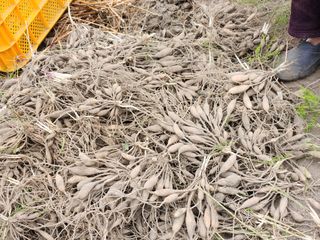 이창신님의 기타작물 · 자유게시판 작성글 사진