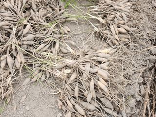 이창신님의 기타작물 · 자유게시판 작성글 사진