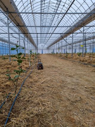 선선농원님의 기타작물 · 영농일지 작성글 사진