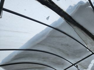 강희상님의 포도 · 영농일지 작성글 사진