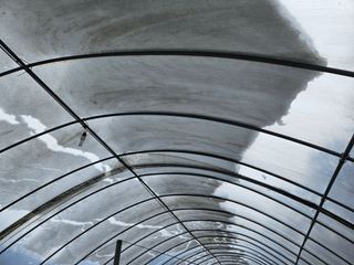 강희상님의 포도 · 영농일지 작성글 사진