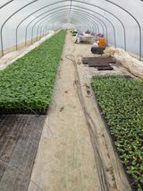 팜모닝 자유주제·자유게시판 게시글 이미지