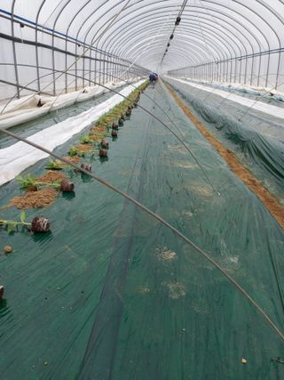 허종범님의 자유주제 · 자유게시판 작성글 사진