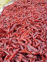 팜모닝 · 게시글 이미지