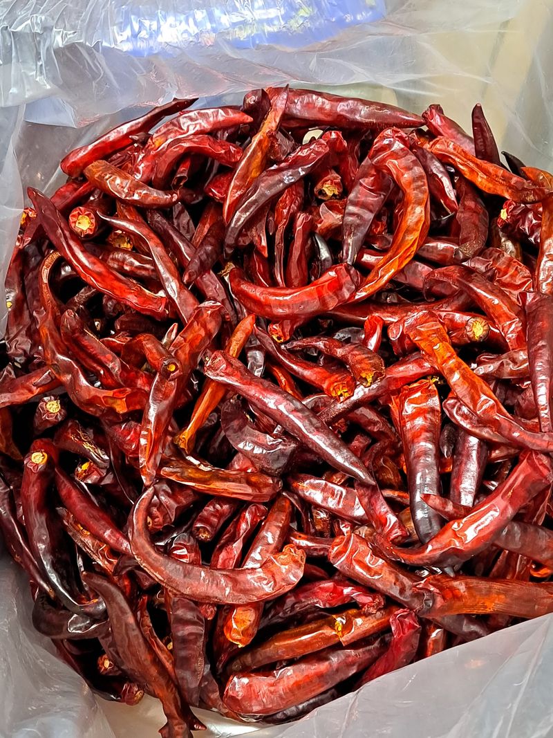 대청농장님의 장터 판매 상품 [건고추 4번째수확물,30키로 50근] 첨부 사진