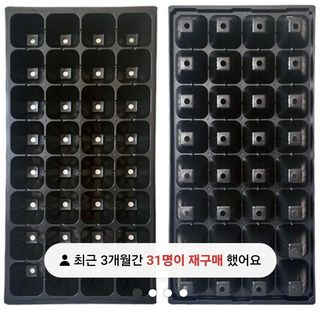 김중언님의 호박 · 자유게시판 작성글 사진