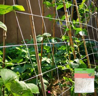 김중언님의 호박 · 자유게시판 작성글 사진