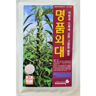 안산제일농약사님의 작성글 사진