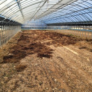 강성우님의 고구마 · 자유게시판 작성글 사진